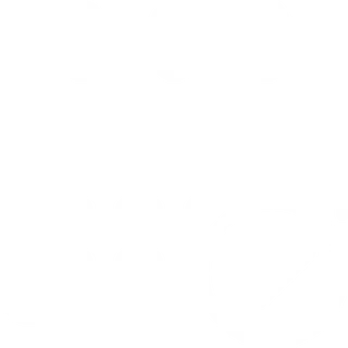 Logo - Hansa-Traffic-IDPM GmbH aus Moorrege